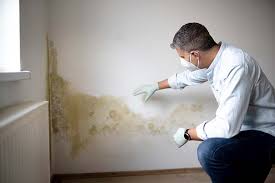 Best Mold Prevention Services  in Encinal, TX